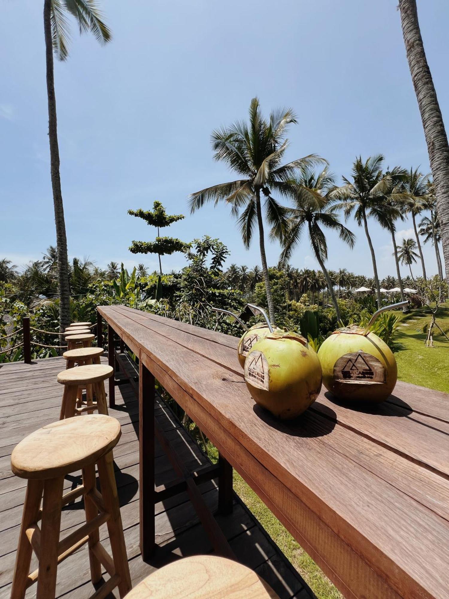 Desa Cabins Balian Exterior foto